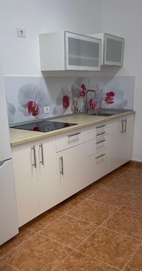 Apartamento Bahia Sol 科斯塔卡莱塔 外观 照片